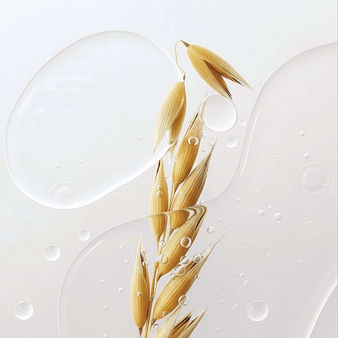 Ativos naturais — sustentabilidade Alter Ego Italy